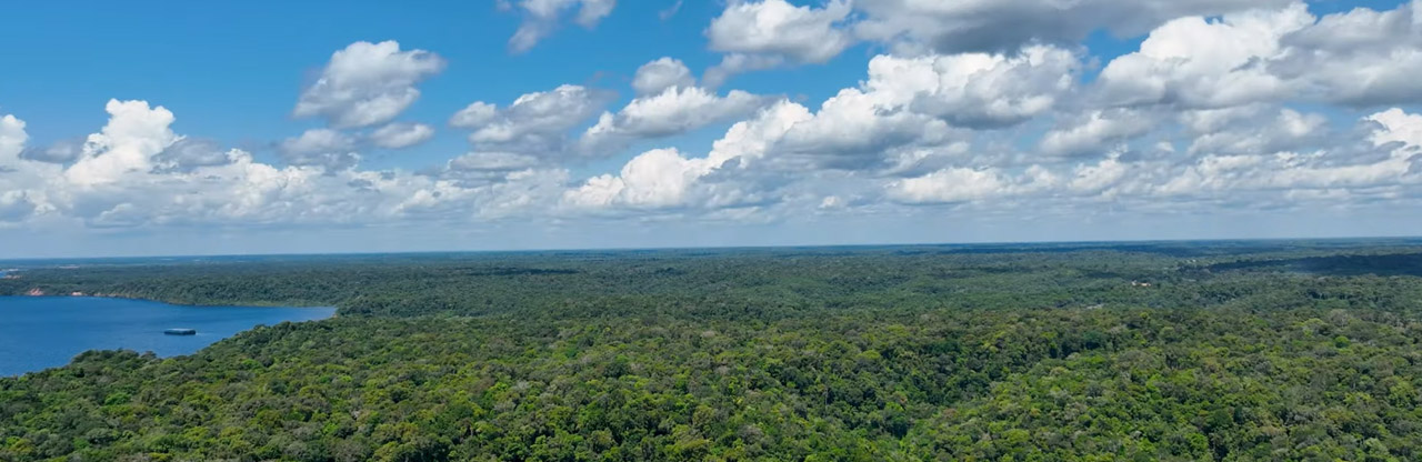 Estado do Amazonas