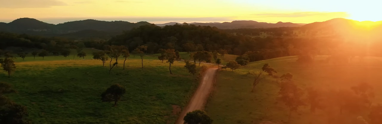 Estado do Mato Grosso do Sul